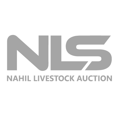 Frame 34
