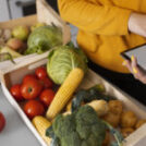 Digitalizing Food Industry Operations Through Our ERP Ecosystem